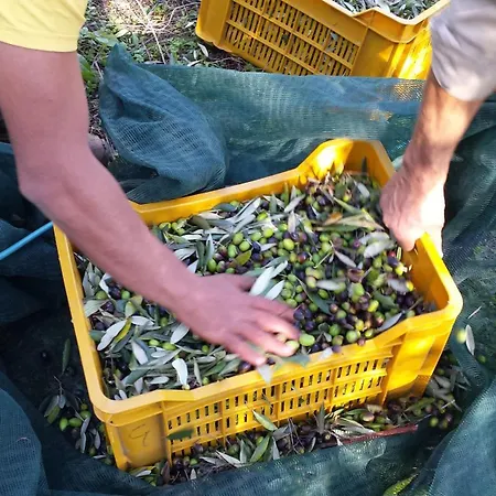 מלון דירות La Fattoria Di